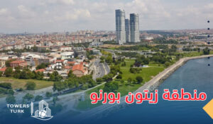 منطقة زيتون بورنو