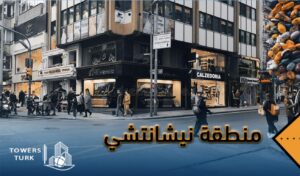 منطقة نيشانتشي